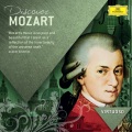karl bohm、Wiener Philharmoniker - I. Allegro