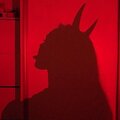 16 Cupid - Show You (Explicit)