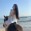 席 Music、苏可可 - 青花意境摇