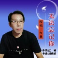 红林 - 无法忘记你