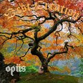 Opus - In the Air