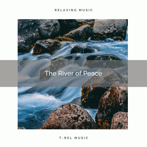 Nature Sounds - Wild Stream Music for Sleep