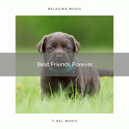 Music for Dog's Ears - Relax Dog and Be Happy with Relaxing Music