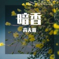 高天霸 - 暗香 (烟嗓版)