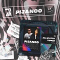 Salviatto、vipper、Cool 7rack - Pijanoo (ExtendedMix)