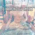78 Harmoniously Ambient