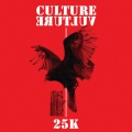 25k - Culture Vulture (Clean Version)