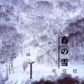 毛奕权 - 春の雪