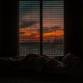 See.H陈浩 - 我怕你已走又怕你未至