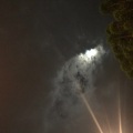 麻辣烫辣女明星 - 错把路灯当月光