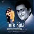 Tere Bina Jeena Nahin (Album Version)