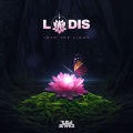 Lodis、RUNN、Bear Grillz - Beautiful Disaster