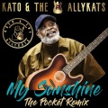 My Sunshine (The Pocket Remix)