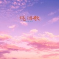 DJ万万万 - 烧酒歌