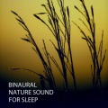 Binaural Beats、Dog Music Hour、Sleeping Ember - Waves Sound