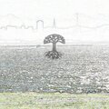 E.L、YungNino - Growth