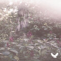 Darrion、Xander - comed (Explicit)