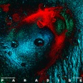 Golden Features、The Presets - Paradise