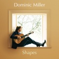 Sting、dominic miller、Budapest Film Orchestra、Nick Ingman - Shape Of My Heart