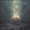 Anoice - What Is Left