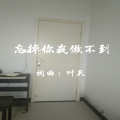 叶天 - 忘记你我做不到