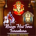 Amit Mishra - Naam Hai Tera Taranhara