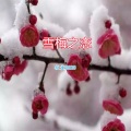 雪梅之恋