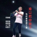 难以把你放下-- (电吹管)(Live)