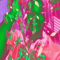 Seeing Green Freestyle (Explicit)