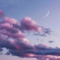 茜宝 - 等你归来