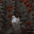 Meadow - Intro