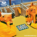 Horse Attack Sqwad - Hevoseni kuoli, Pt.5