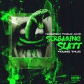 Screaming Slatt (Explicit)