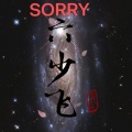 sorry (慢摇版)