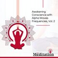 David Peace and Harmony Studio - Meditate To Heal From Pain
