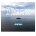 Bream - Searching