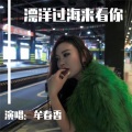 牟春香 - 漂洋过海来看你