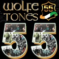 The Wolfetones、Brian Warfield - Foggy Dew