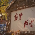 玛雅 - 很需要