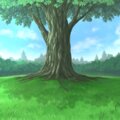 王时可 - 你的万水千山
