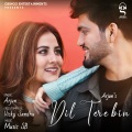 Dil Tere Bin (Tik Tok 1)