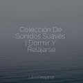 Colección De Sonidos Suaves | Dormir Y Relajarse
