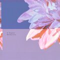 Mecharissa、Carissa Grimm - Wandering