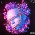 Bleedem、days - MLETDOWN (Explicit)
