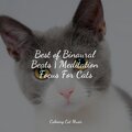 Music for Cats Project、Cat Music Experience、Pet Care Club - Raindrops
