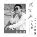 风吹来的时候 (DJ小刚版)