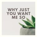 Zaara WOX - Why Just You Want Me So