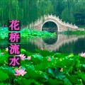 楚艳培、孙庸铭 - 花桥流水