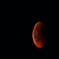 David José Soares Rocha、str - Looking For The Moon