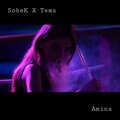 Sobek、Temz - Amina